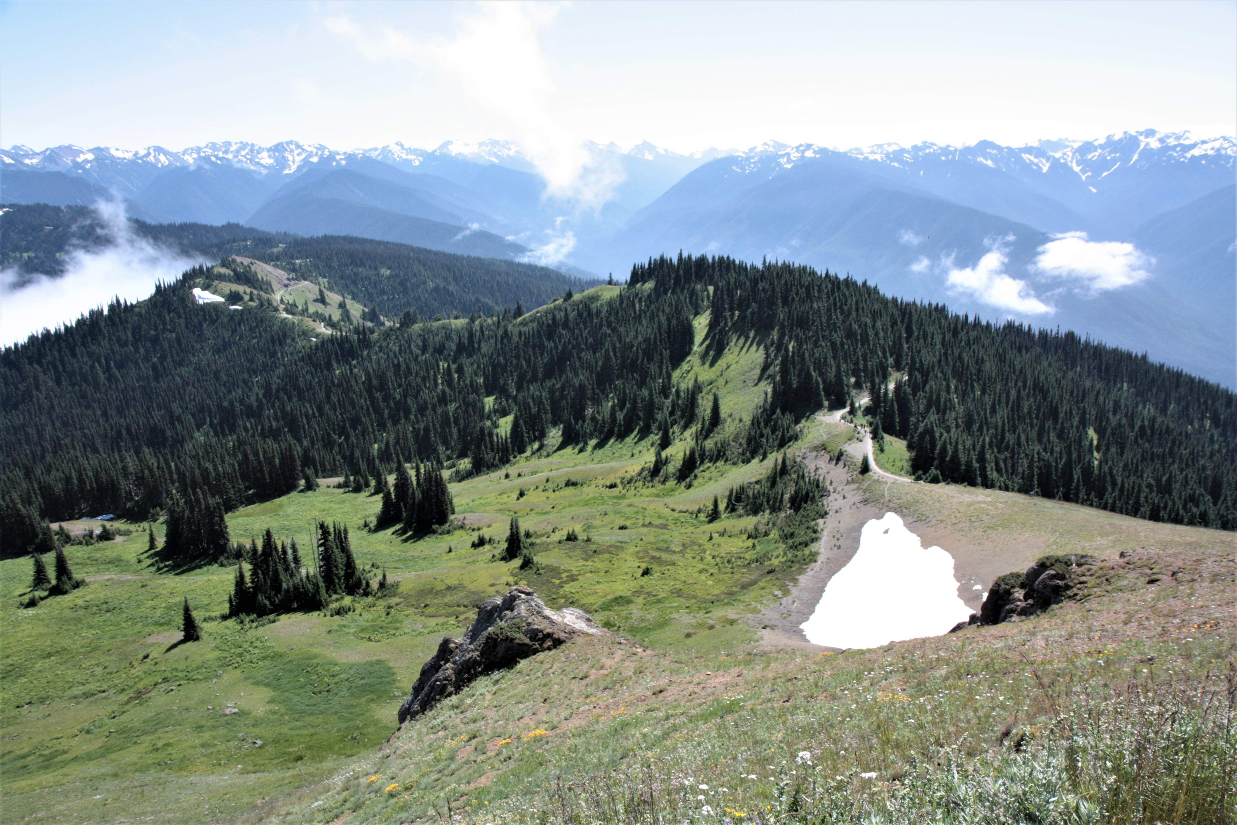 Olympic NP